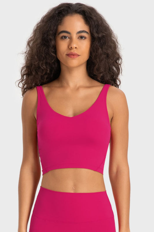 Deep V-Neck Sports Bra