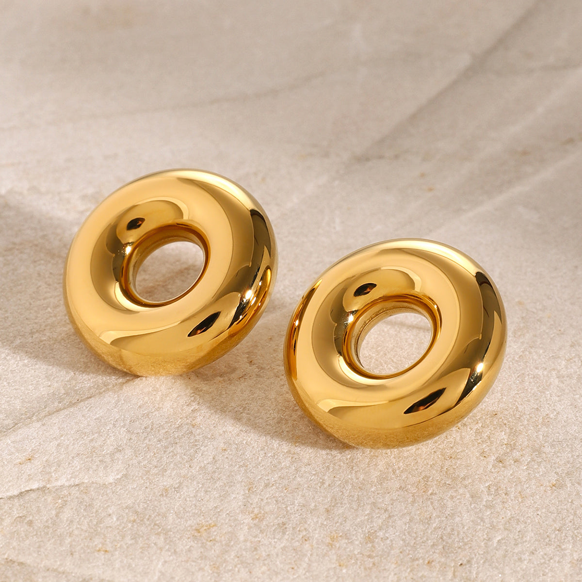 Stainless Steel Round Earrings