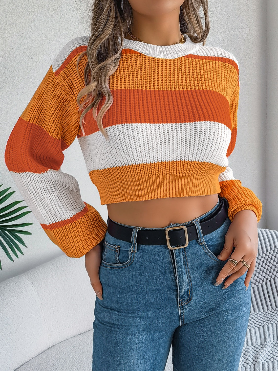 Colorblock Cropped Sweater