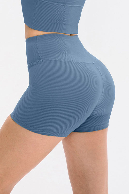 Wide Waistband Active Shorts