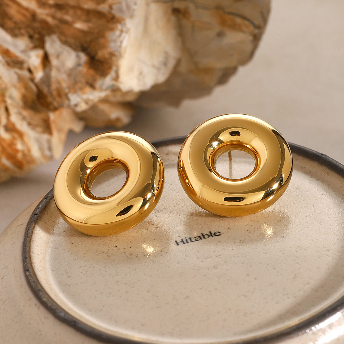 Stainless Steel Round Earrings