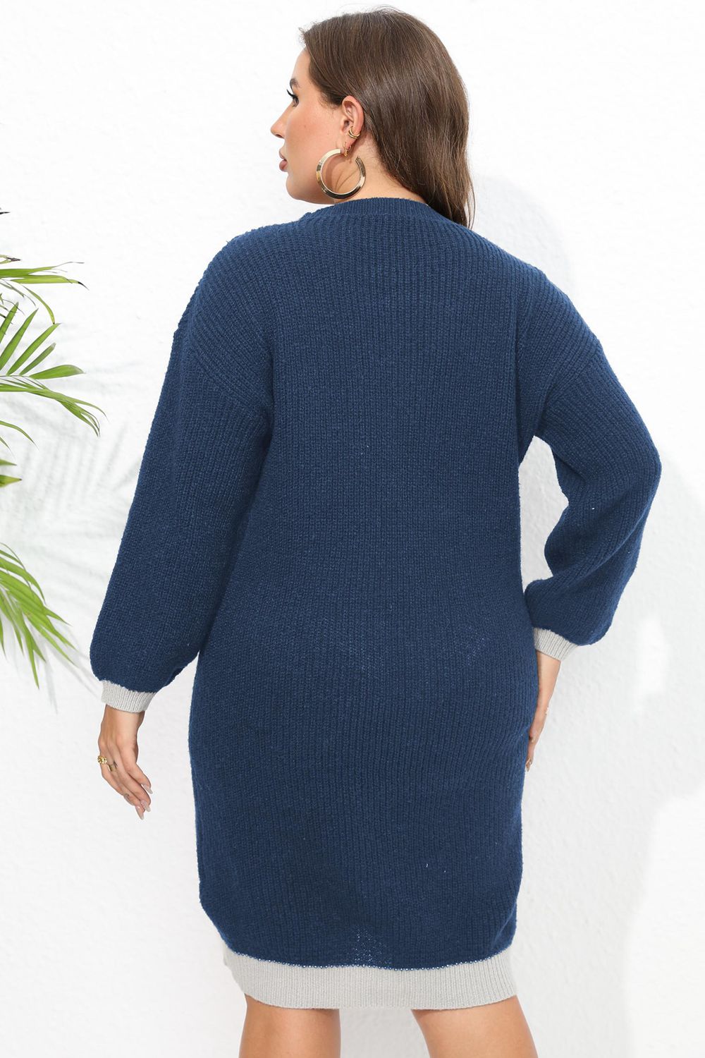 Plus Size Contrast Sweater Dress